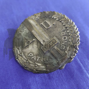 distintivo allievo ufficiale ENR
