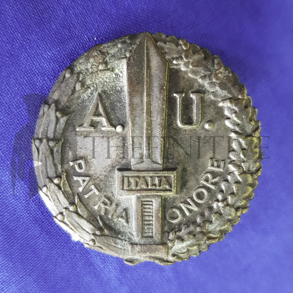 distintivo allievo ufficiale ENR