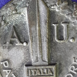 distintivo allievo ufficiale ENR