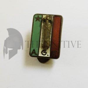 ❌🙁Distintivo AGF Avanguardia Giovanile Fascista 1919