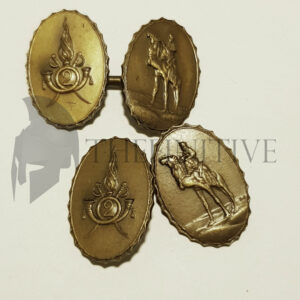 ❌🙁Gruppo Squadrone SAHARIANO RCTC – Gemelli