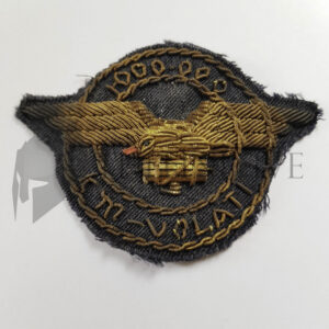 ❌🙁Fregio UN MILIONE KM VOLATI distintivo stoffa R.A.