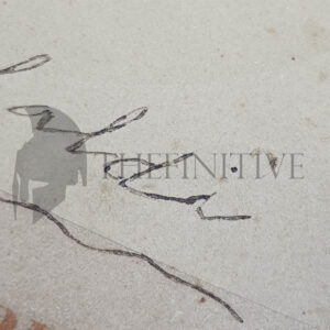 Giuseppe Garibaldi foto autografata